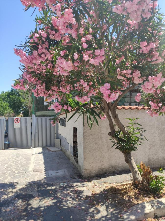 Appartamento Casa Vacanze Fiumicino